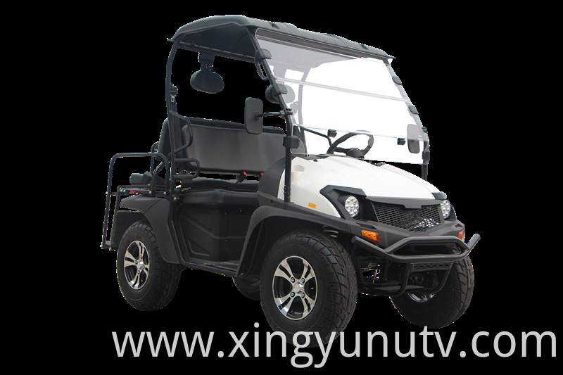 2021 Hot Sale High Quality 5KW Electric UTV EEC Electric Golf Cart